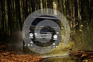 SUV or offroad car on path covered with leaves crossing puddle with water splash Car racing in autumn forest. Offroad
