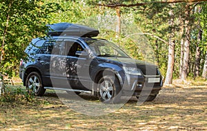 SUV in a pine forest on a meadow