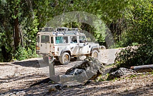 SUV rides on the country road in forest, Israel