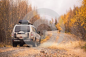 SUV on scenic autumn road in the forest