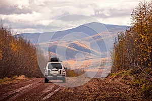 SUV on scenic autumn road in the forest