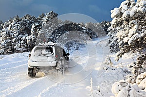 SUV on snow