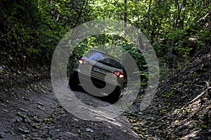 SUV Suzuki Vitara makes its way along a narrow forest path.