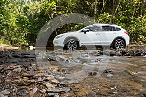Travel on summer vacation with SUV 4wd adventure and exploration nature find scenery in forest, discovery white car drives