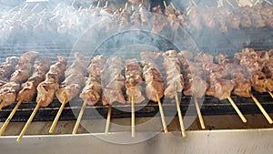 Suvlaki or souvlakia meat greek ethnic food