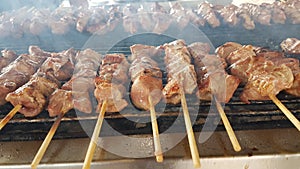 Suvlaki or souvlakia meat greek ethnic food