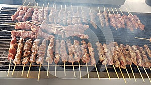 Suvlaki or souvlakia meat greek ethnic food