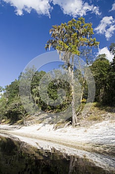 Suwannee River