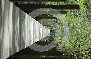 Suwannee River Boardwalk