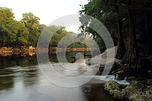 Suwannee River Morning