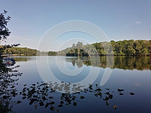 Suwannee river north Florida water