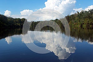 Suwannee River Reflections