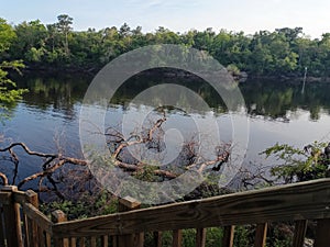 Suwannee river water north Florida