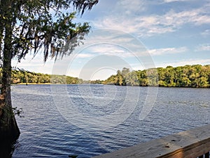 Suwannee river water north Florida