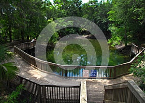 Suwannee River - Zone 3 Swimming Hole