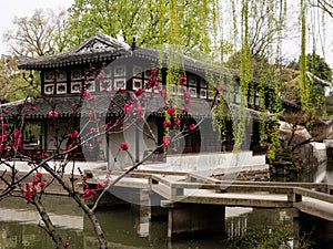 Springtime in Humble Administrator`s Garden, one of the most famous classical gardens of Suzhou