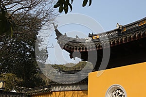 Suzhou gardens, Chinese architecture, temples, mountains, flowers, plum, plum, blossom