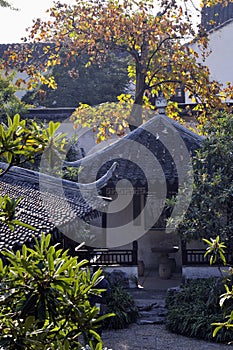 Suzhou humble administrator's garden