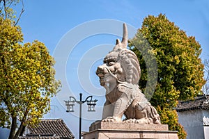 Suzhou Luzhi town animal 