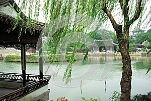 Suzhou willow and pavilion