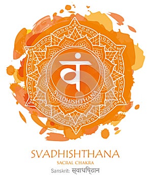 Svadhishthana chakra vector