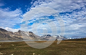 Svalbard summer view