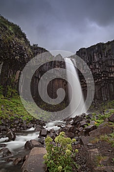 Svartifoss Waterfall Skaftafell photo