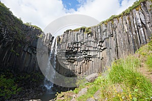 Svartifoss falls in summer season view, Iceland