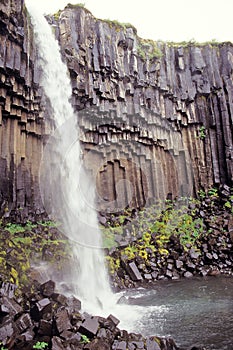 Svartifoss waterfall, Skaftafell N. P. , Iceland