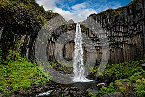 Svartifoss waterfall in the Skaftafell National Park Iceland