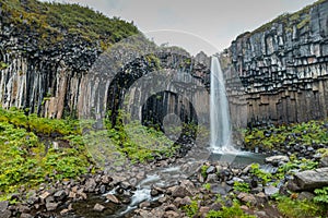 Svartifoss waterfall in skaftafell region on iceland. Beautiful waterfall viewed from far, a lot of water coming from vertical