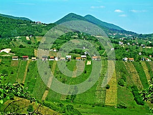 The Sveta Jana Wine Region, Slavetic Croatia / Svetojansko-SlavetiÄ‡ko Vinogorje, SlavetiÄ‡ Hrvatska