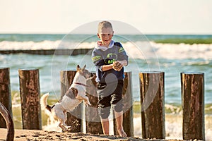 Young boy playing with Jack Russell Terrier dog on sea beach, sea waves background, happy childhood