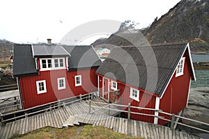 SvinÃÂ¸ya's rorbuer