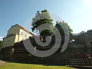 Svojanov castle, ghotic garden photo