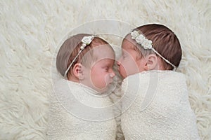 Swaddled Newborn Twin Baby Girls