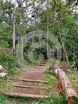 Swain Gardens in Killara @ Sydney Australia