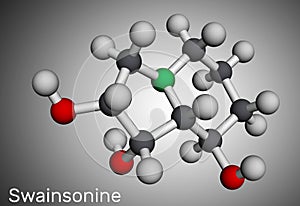 Swainsonine, tridolgosir molecule. It is indolizidine alkaloid from the plant Swainsona, with immunomodulatory activity. Molecular