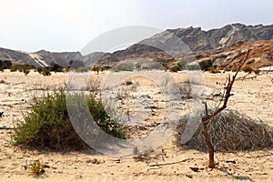 Swakop river valley - Namibia Africa