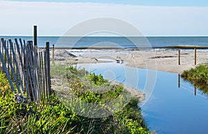 A Swale at the Beach photo