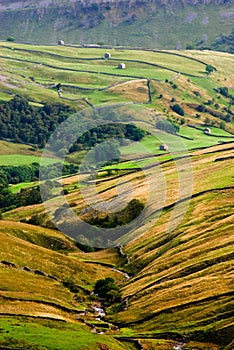 Swaledale barns, walls and beck