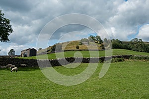 Swaledale Farmland