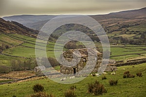 Swaledale in the Yorkshire Dales