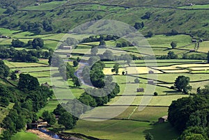 Swaledale. Yorkshire. England