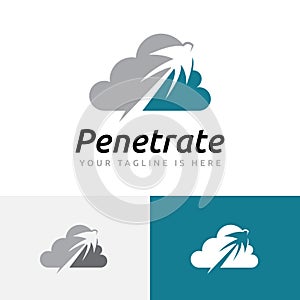 Swallow Bird Fly High Penetrate Cloud Internet Technology Logo