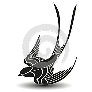 Swallow bird logo design and vector flying bird