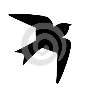 Swallow bird vector icon