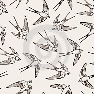 Swallow bird vector seamless pattern, hand drawn