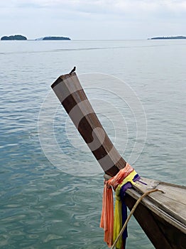 Swallow on a bow of a long-tail boat