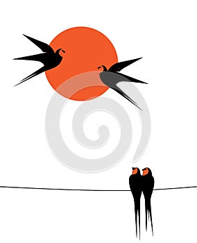 Barn swallows silhouette on wire on sunset, vector. Two birds silhouettes on wire isolated on white background